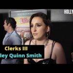 The Hollywood Insider Video Harley Quinn Smith Interview