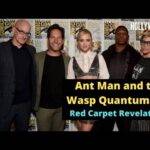 Video: Red Carpet Revelations of 'Ant Man and the Wasp Quantumania' at Comic Con