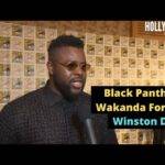 Video: Winston Duke | Red Carpet Revelations at Comic Con of 'Black Panther: Wakanda Forever'