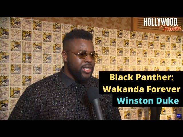 The Hollywood Insider Video Winston Duke Interview