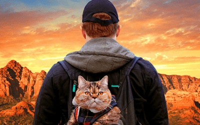 Cat Daddies – A Documentary About Men Who Love Cats