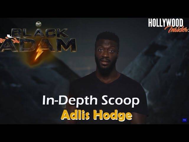 The Hollywood Insider Video Aldis Hodge Interview