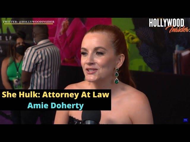 The Hollywood Insider Video Amie Doherty Interview