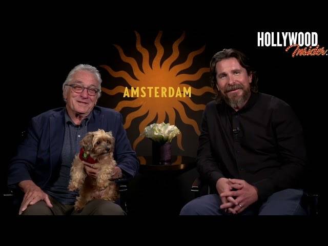 The Hollywood Insider Video Amsterdam Full In Depth Scoop