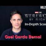 The Hollywood Insider Video Gael Garcia Bernal Interview
