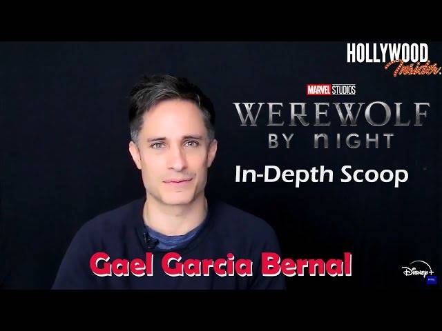 The Hollywood Insider Video Gael Garcia Bernal Interview