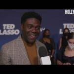 The Hollywood Insider Video Sam Richardson Interview