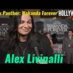 The Hollywood Insider Video Alex Livinalli Interview