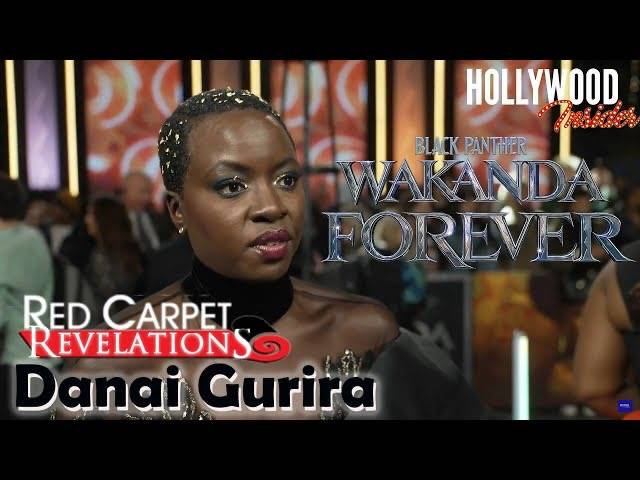 The Hollywood Insider Video Danai Gurira Interview