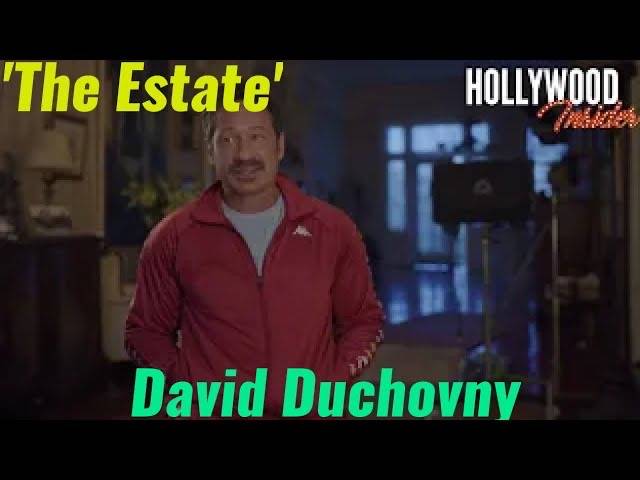 The Hollywood Insider Video David Duchovny Interview