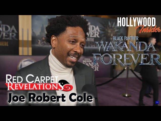 The Hollywood Insider Video Joe Robert Cole Interview