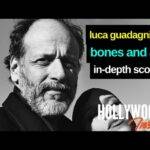 The Hollywood Insider Video Luca Guadagnino Interview