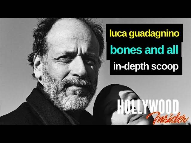 The Hollywood Insider Video Luca Guadagnino Interview