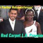 The Hollywood Insider Video Red Carpet Arrivals Black Panther Wakanda Forever