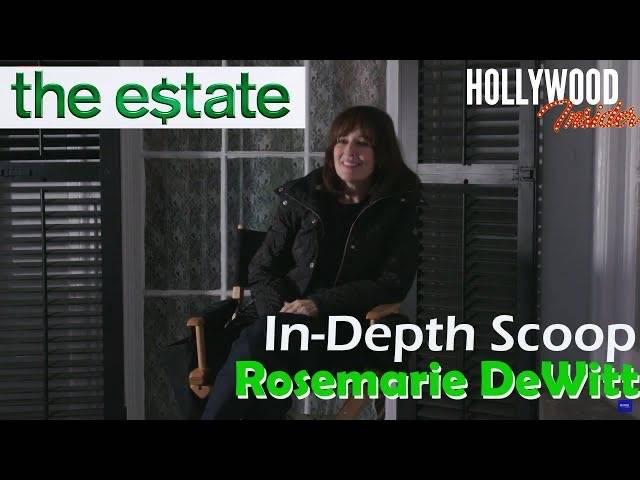 The Hollywood Insider Video Rosemarie DeWitt Interview