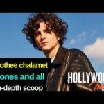 Video: Timothee Chalamet Reveals All on 'Bones and All' with Reactions on Luca Guadagnino & Taylor Russell