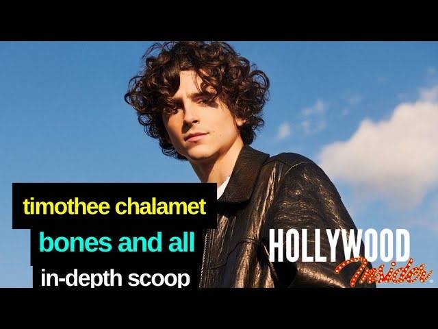 The Hollywood Insider Video Timothee Chalamet Interview