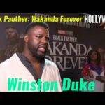 Video: Winston Duke 'Black Panther: Wakanda Forever' | Red Carpet Revelations Africa Premiere