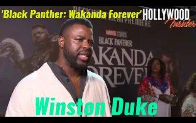 Video: Winston Duke ‘Black Panther: Wakanda Forever’ | Red Carpet Revelations Africa Premiere