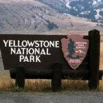 Tips for Traversing the Famous Yellowstone National Park
