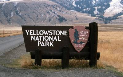 Tips for Traversing the Famous Yellowstone National Park