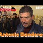The Hollywood Insider Video Antonio Banderas 'Puss In Boots: The Last Wish' Interview