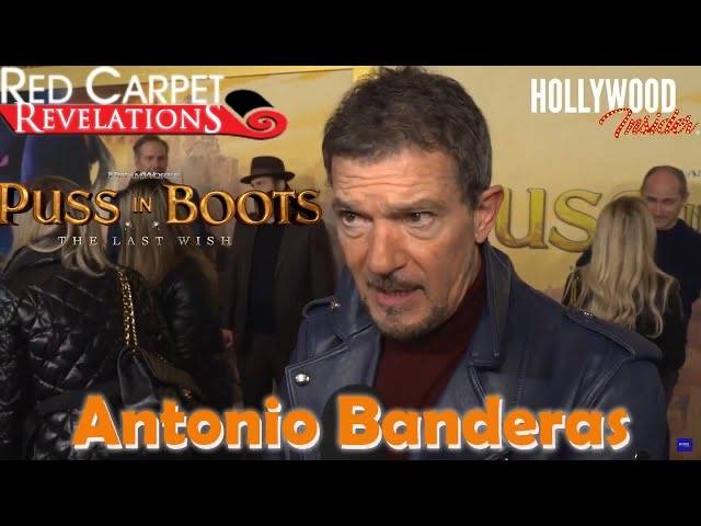 The Hollywood Insider Video Antonio Banderas 'Puss In Boots: The Last Wish' Interview