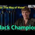 The Hollywood Insider Video Jack Champion 'Avatar: The Way of Water' Interview