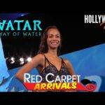 Video: 'Avatar: The Way of Water' | Red Carpet Arrivals - James Cameron,  Zoe Saldana and more