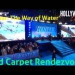 The Hollywood Insider Video Cast and Crew 'Avatar: The Way of Water' Interview