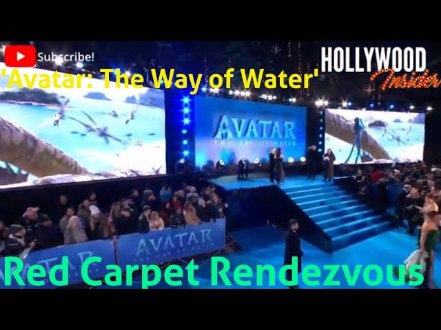 The Hollywood Insider Video Cast and Crew 'Avatar: The Way of Water' Interview