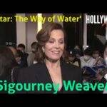 The Hollywood Insider Video Sigourney Weaver 'Avatar: The Way of Water' Interview