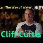 The Hollywood Insider Video Cliff Curtis 'Avatar: The Way of Water' Interview