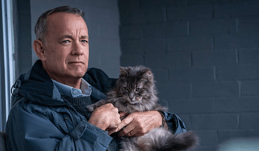 The Hollywood Insider A Man Called Otto Review, Tom Hanks