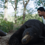 ‘Cocaine Bear’: Universal's New Creature Feature 