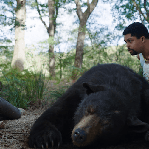 ‘Cocaine Bear’: Universal’s New Creature Feature 