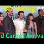 The Hollywood Insider Video-Cast and Crew-Shrinking-Interview