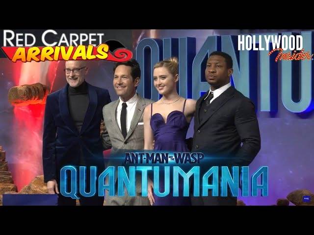 The Hollywood Insider Video-Cast and Crew-Antman and The Wasp: Quantumania-Interview