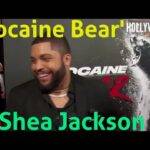 The Hollywood Insider Video-O'Shea Jackson Jr-Cocaine Bear-Interview