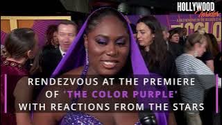 Danielle Brooks Spills Secrets on ‘The Color Purple’ at Premiere | Taraji P  Henson, Oprah