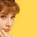 Beyond the Spotlight: What Earning an EGOT Really Says About a Star
