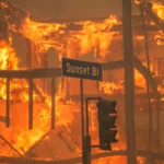 The Hollywood Insider (Los Angeles Wildfires)