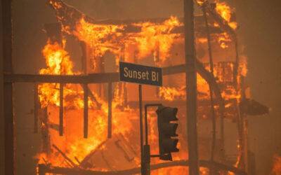 The 2025 Wildfires: Los Angeles’ Cinematic Afterlife