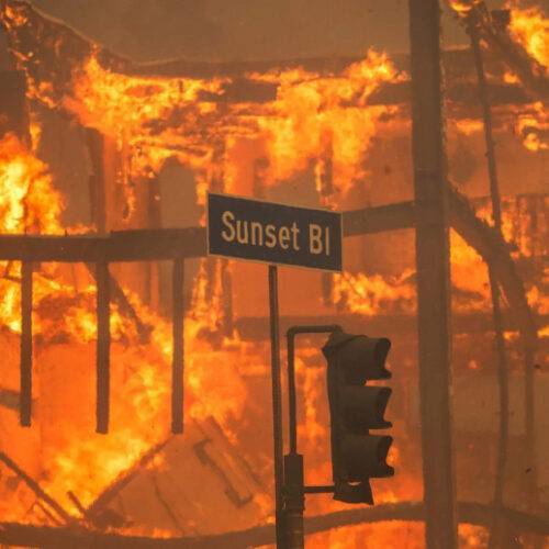 The 2025 Wildfires: Los Angeles’ Cinematic Afterlife